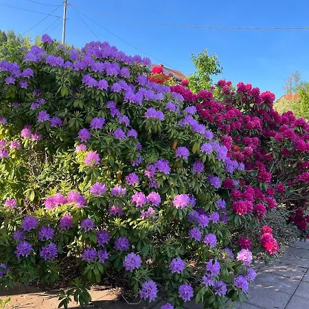 Aux Balcons Des Xettes Casa de Férias *