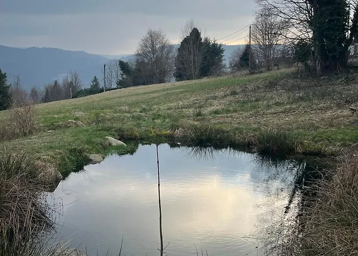 Σπίτι διακοπών Aux Balcons Des Xettes Gérardmer