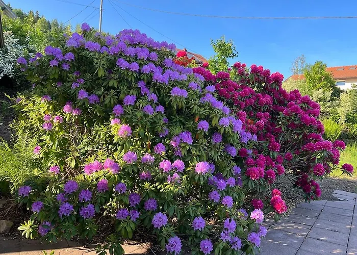Aux Balcons Des Xettes Semesterbostad *